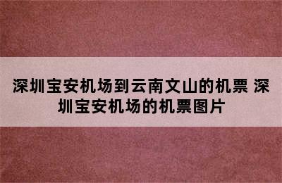 深圳宝安机场到云南文山的机票 深圳宝安机场的机票图片